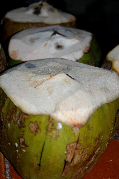 Fresh Coconuts